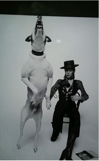 Ici Londres_photo David Bowie