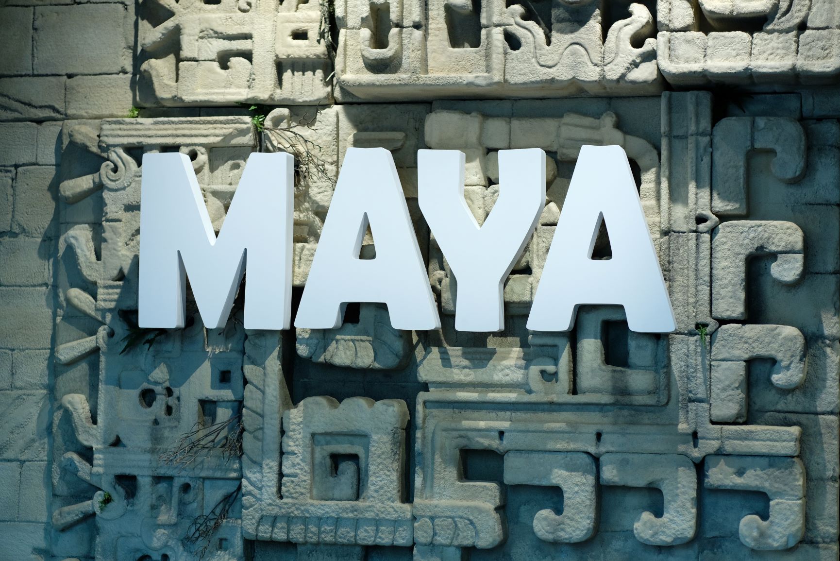 maya